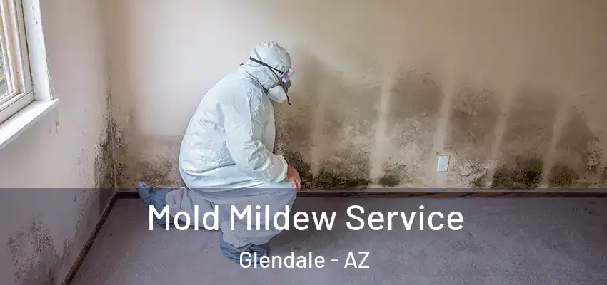 Mold Mildew Service Glendale - AZ