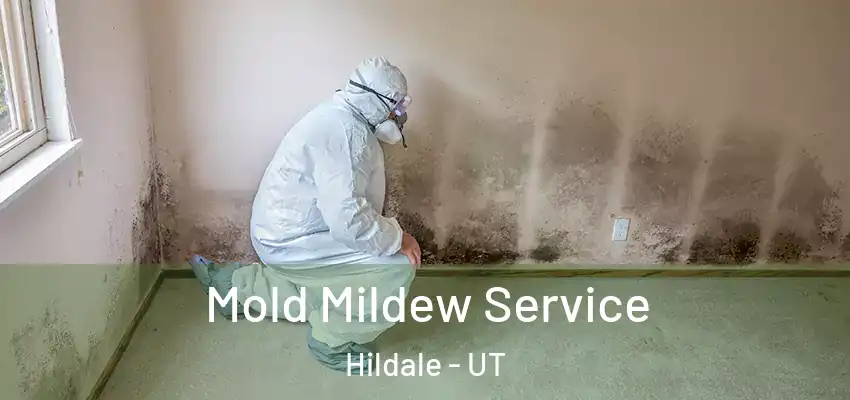 Mold Mildew Service Hildale - UT