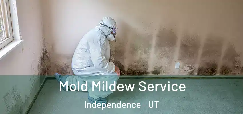  Mold Mildew Service Independence - UT