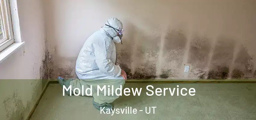 Mold Mildew Service Kaysville - UT