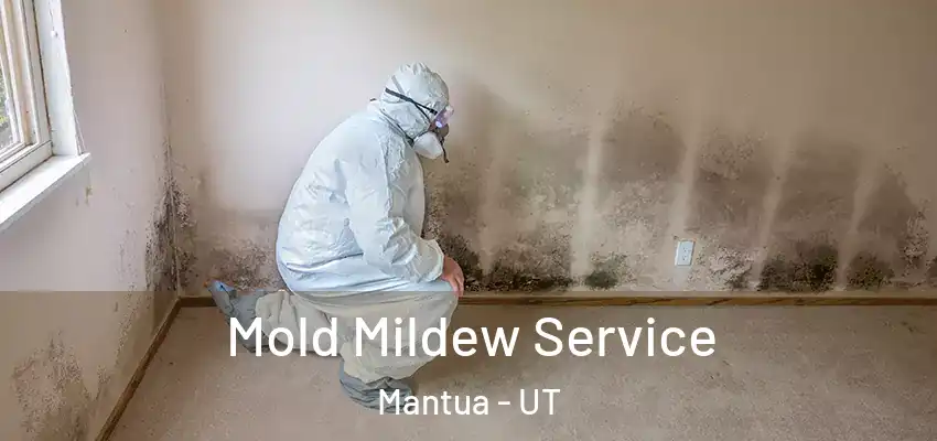  Mold Mildew Service Mantua - UT