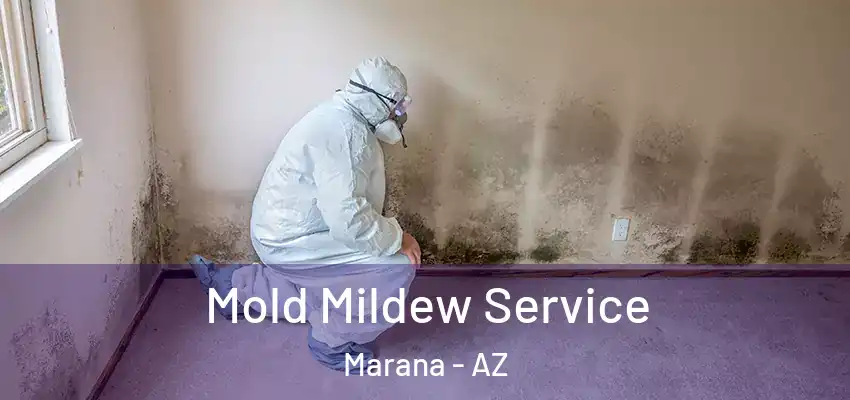  Mold Mildew Service Marana - AZ