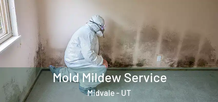 Mold Mildew Service Midvale - UT