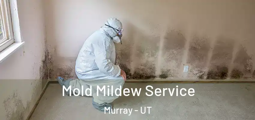Mold Mildew Service Murray - UT