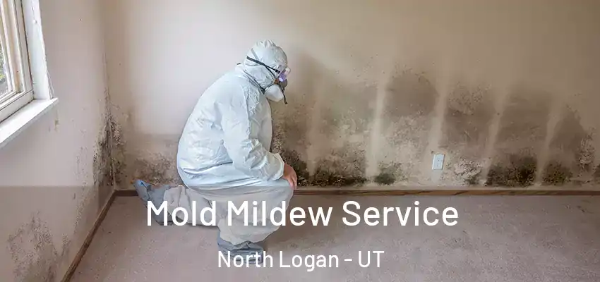  Mold Mildew Service North Logan - UT