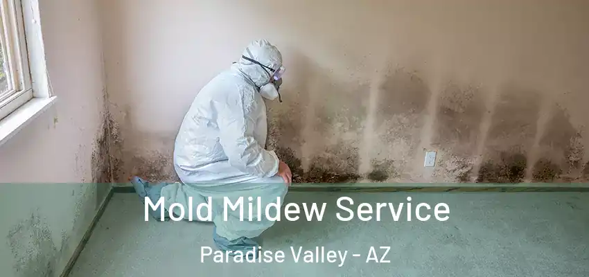  Mold Mildew Service Paradise Valley - AZ