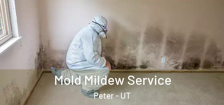  Mold Mildew Service Peter - UT