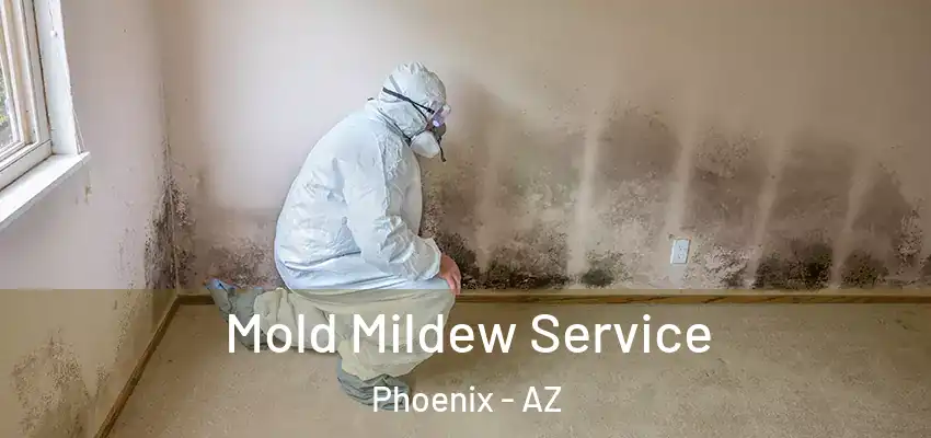 Mold Mildew Service Phoenix - AZ