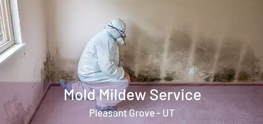  Mold Mildew Service Pleasant Grove - UT