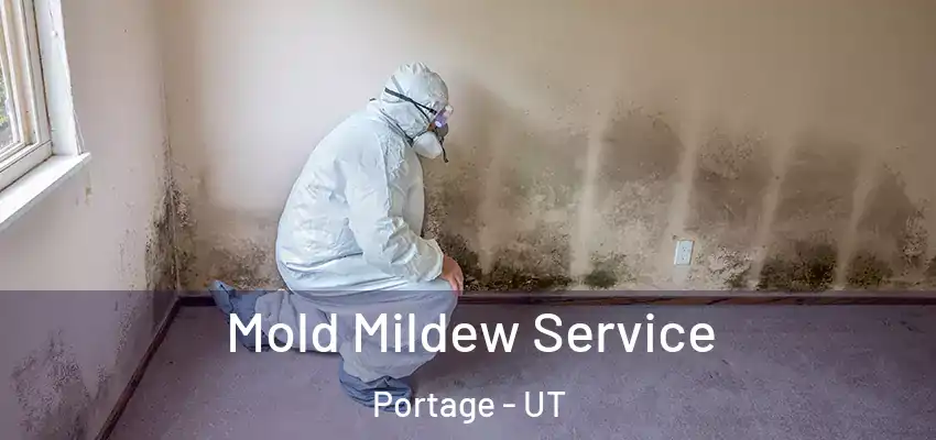 Mold Mildew Service Portage - UT