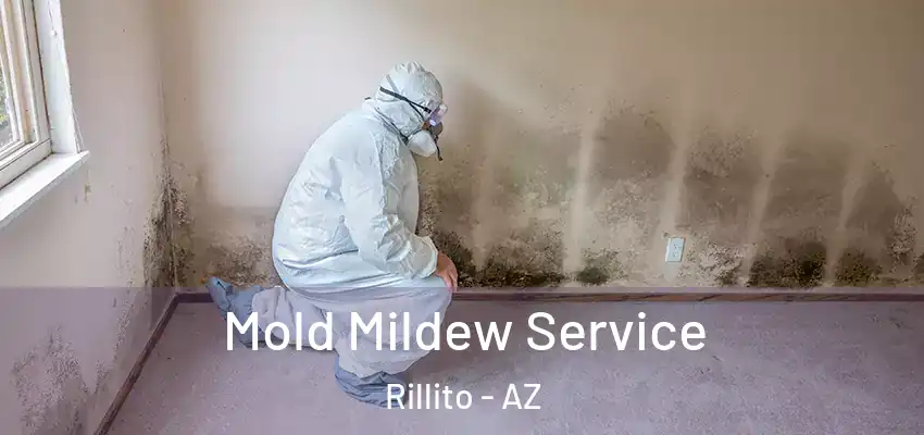  Mold Mildew Service Rillito - AZ