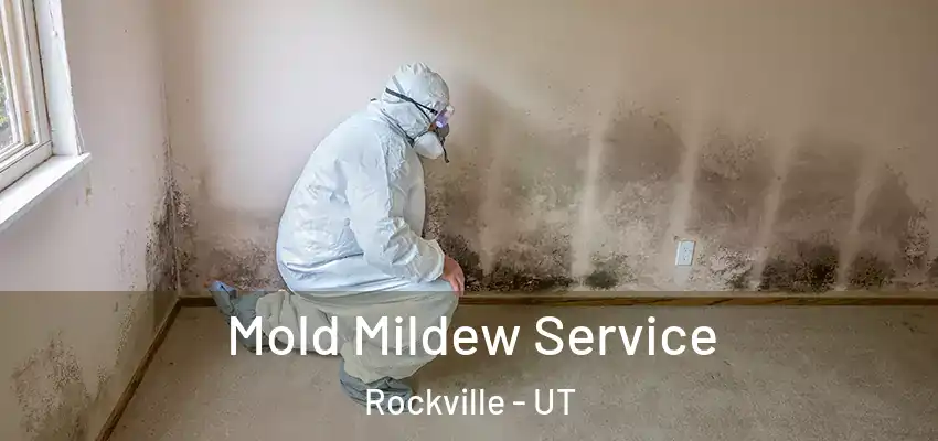  Mold Mildew Service Rockville - UT