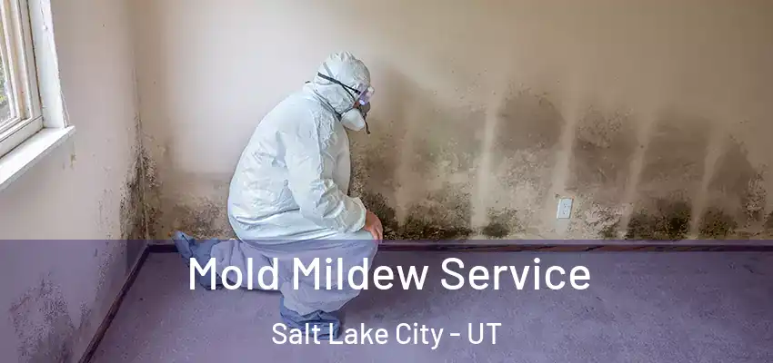  Mold Mildew Service Salt Lake City - UT