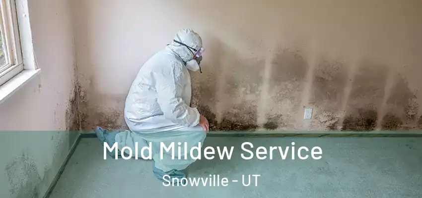  Mold Mildew Service Snowville - UT