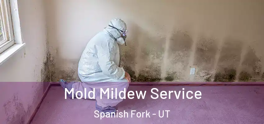  Mold Mildew Service Spanish Fork - UT