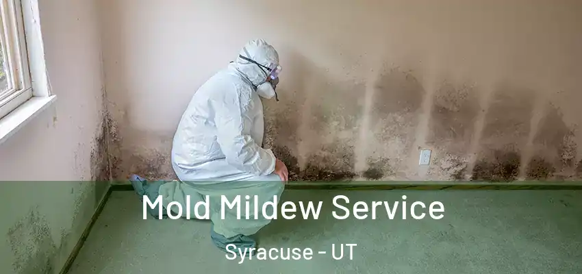  Mold Mildew Service Syracuse - UT