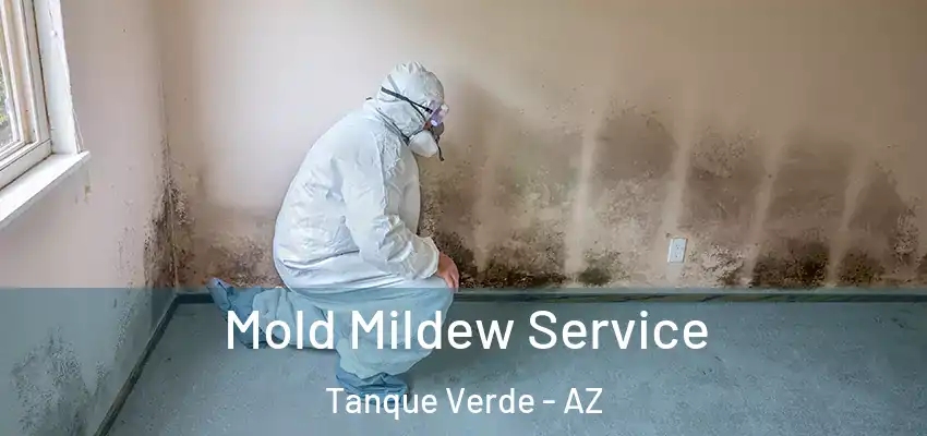 Mold Mildew Service Tanque Verde - AZ