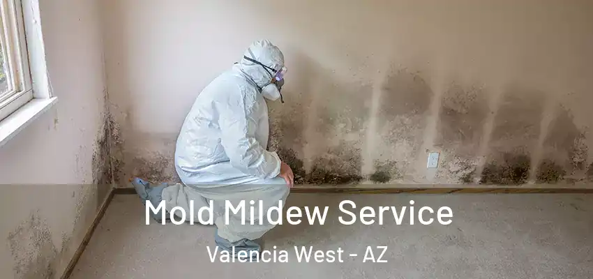  Mold Mildew Service Valencia West - AZ