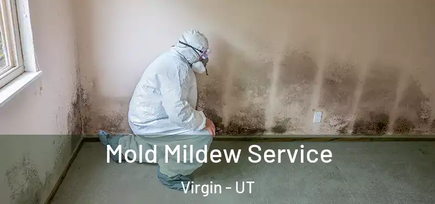  Mold Mildew Service Virgin - UT