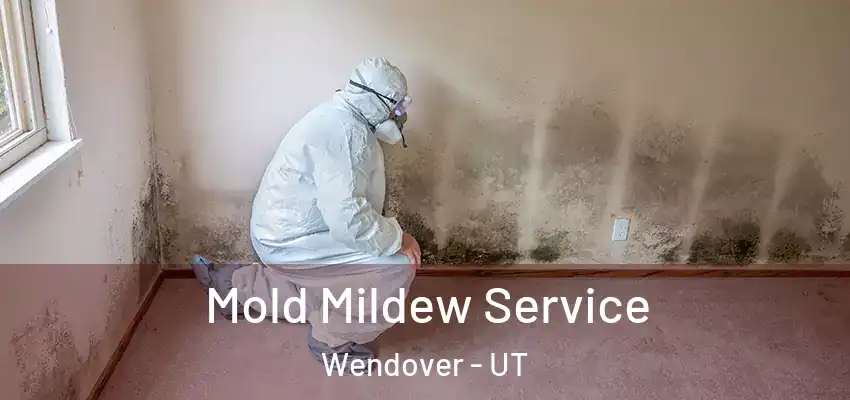 Mold Mildew Service Wendover - UT