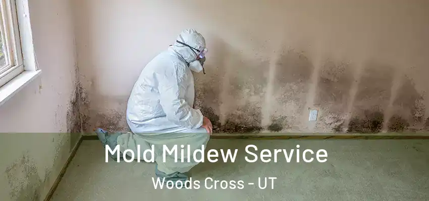 Mold Mildew Service Woods Cross - UT