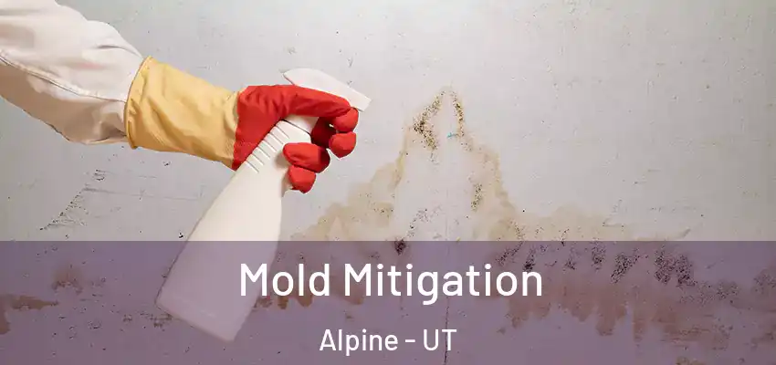  Mold Mitigation Alpine - UT