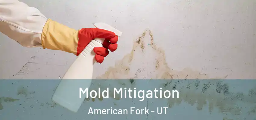  Mold Mitigation American Fork - UT