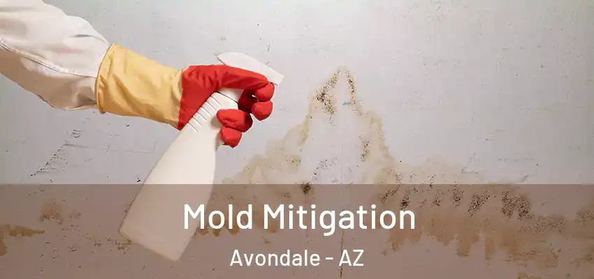 Mold Mitigation Avondale - AZ
