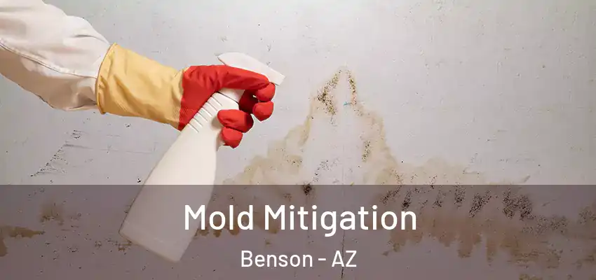  Mold Mitigation Benson - AZ