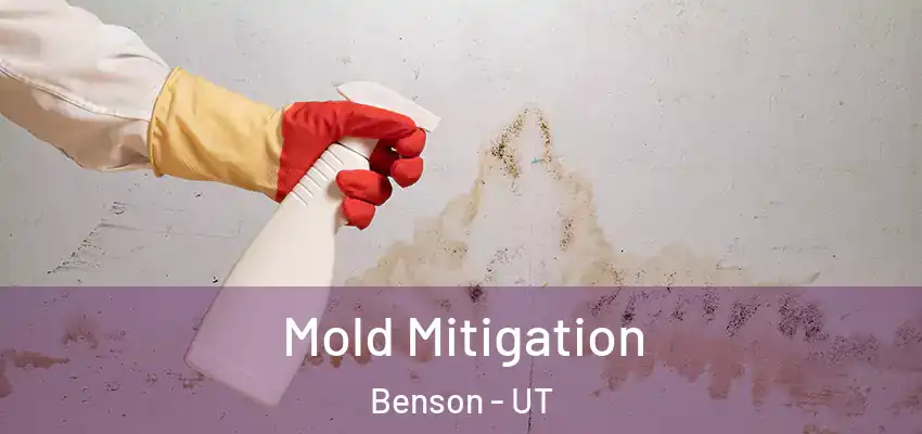  Mold Mitigation Benson - UT