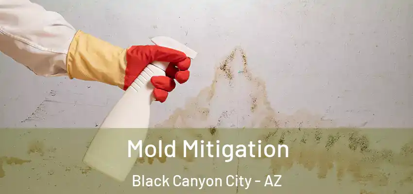  Mold Mitigation Black Canyon City - AZ