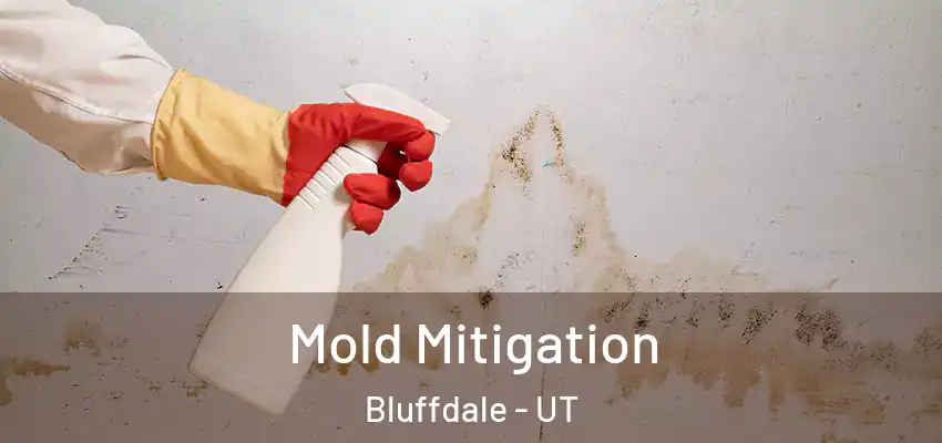  Mold Mitigation Bluffdale - UT