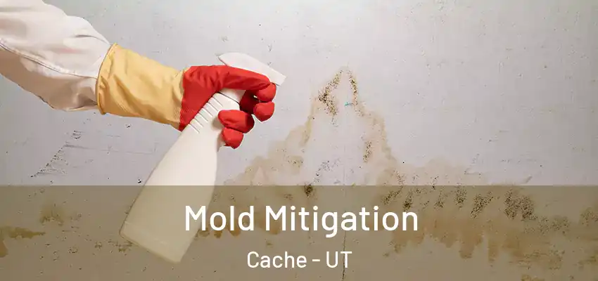  Mold Mitigation Cache - UT