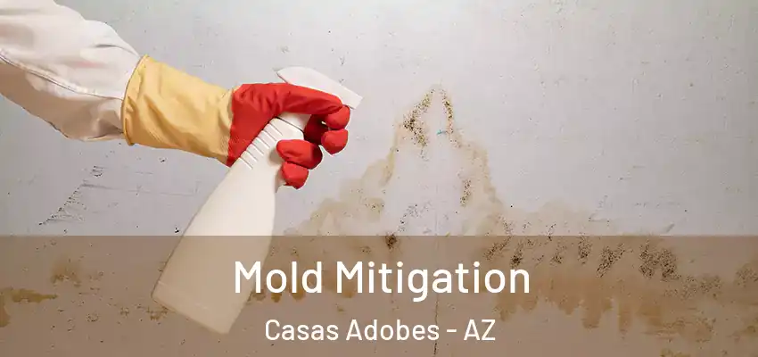  Mold Mitigation Casas Adobes - AZ