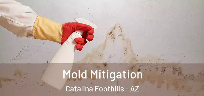  Mold Mitigation Catalina Foothills - AZ