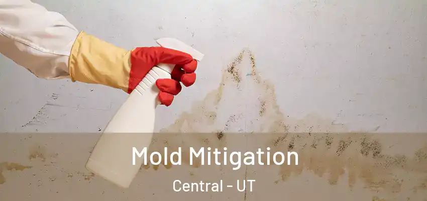  Mold Mitigation Central - UT