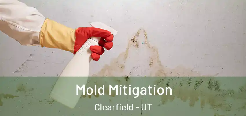  Mold Mitigation Clearfield - UT