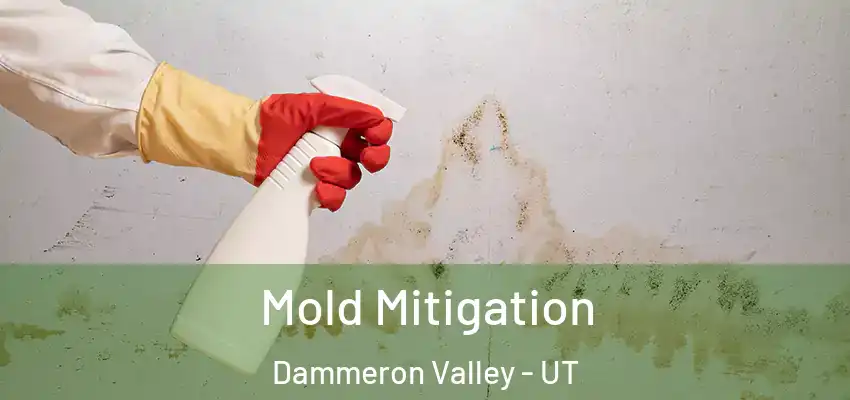  Mold Mitigation Dammeron Valley - UT