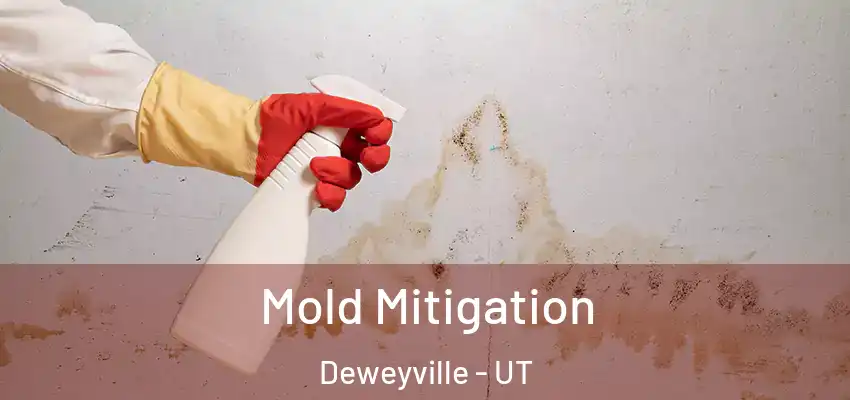  Mold Mitigation Deweyville - UT