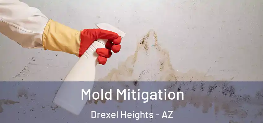  Mold Mitigation Drexel Heights - AZ