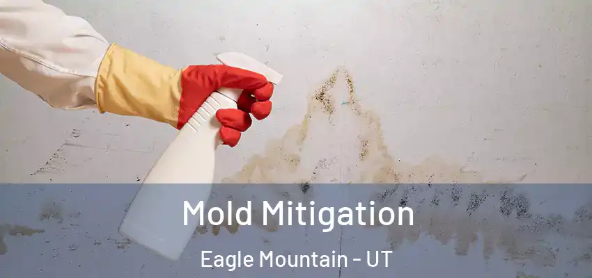  Mold Mitigation Eagle Mountain - UT