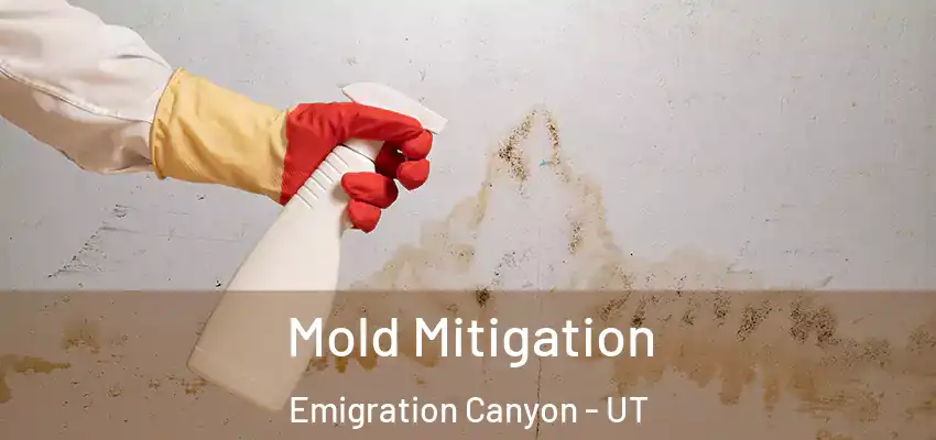  Mold Mitigation Emigration Canyon - UT
