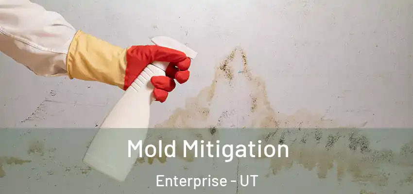  Mold Mitigation Enterprise - UT