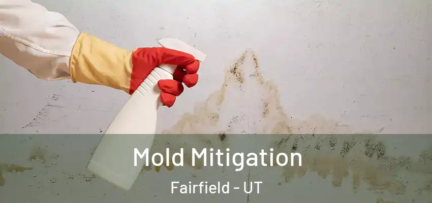 Mold Mitigation Fairfield - UT