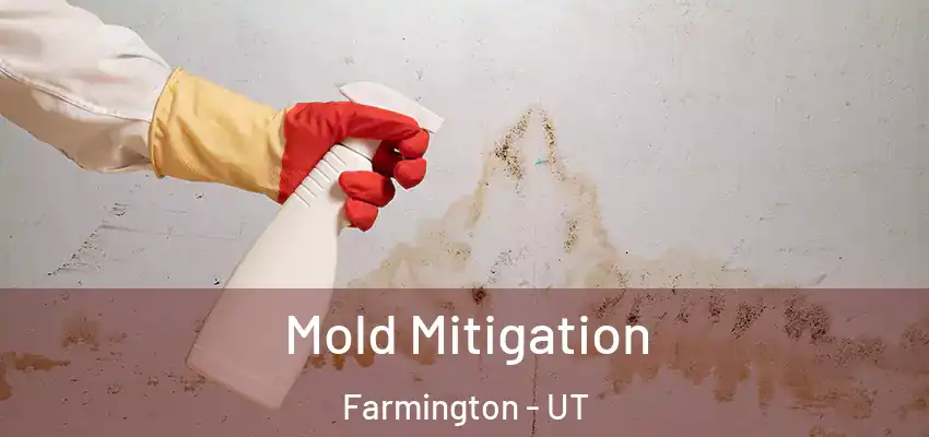 Mold Mitigation Farmington - UT