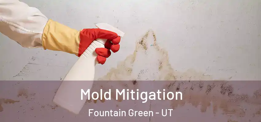  Mold Mitigation Fountain Green - UT