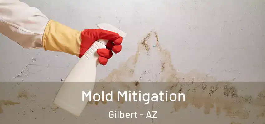 Mold Mitigation Gilbert - AZ
