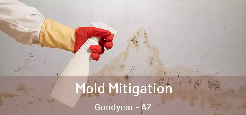 Mold Mitigation Goodyear - AZ