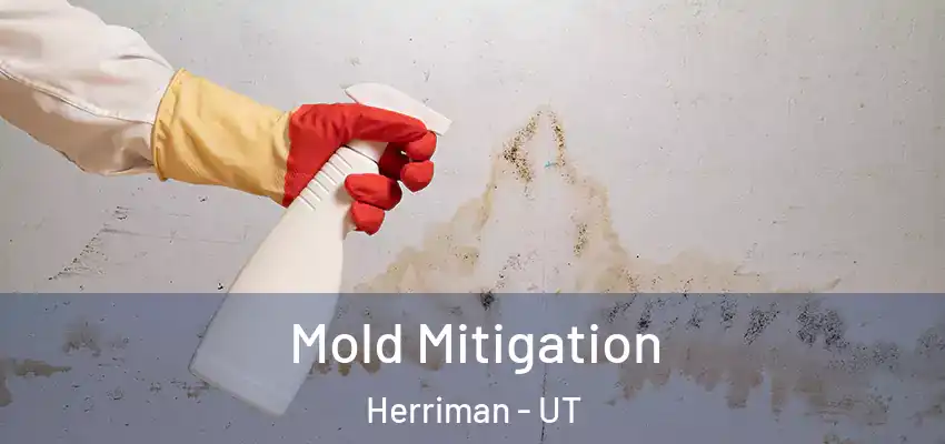  Mold Mitigation Herriman - UT