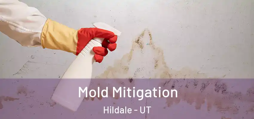 Mold Mitigation Hildale - UT